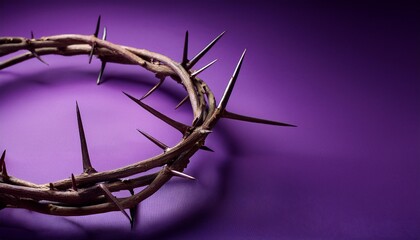 crown of thorns on purple background