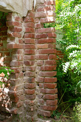 tree in the garden and old brick pillar