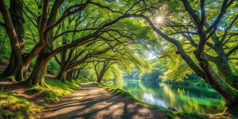 Naklejka premium Serene Pathway Through Lush Green Canopy Arching Over Calm River Under Bright Sunlight