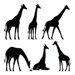 Giraffe silhouette vector illustration on white background