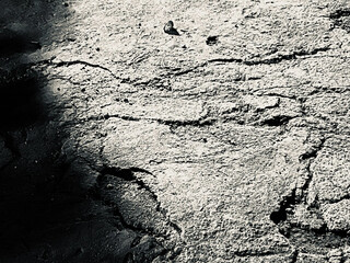 bottom of a gray concrete floor