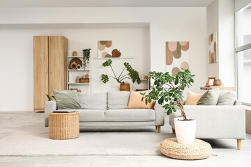 Interior of living room with comfortable sofas, table and houseplants near beige wall