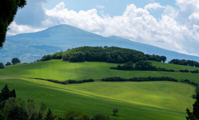 View of the Tuscan hills, in rural Tuscany near the picturesque small town of Monticciello in the Orcia Valley, Italy. Blue sky with a few fluffy clouds. Cypress trees typical of the area.