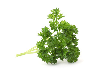 Sprig of fresh parsley isolated on white