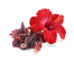 Red hibiscus flower and dried calyces on white background