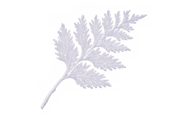 White embroidered fern branch isolated on transparent background, perfect for textile patterns or nature-inspired designs