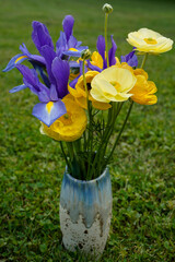 Purple and yellow dutch irises and yellow ranunculus flowers in a ceramic vase.
