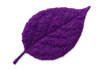 Fototapeta premium Vibrant purple fuzzy leaf floating, representing botanical elegance and natural growth against transparent backdrop