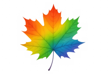Colorful maple leaf with rainbow colors symbolizing diversity, inclusion, and acceptance, isolated on transparent background