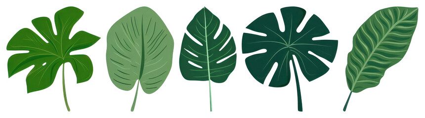 PNG Tropical leaves plant green leaf transparent background.