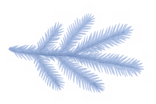 Light blue fir branch isolated on transparent background, perfect for winter, christmas, or festive designs - Powered by Adobe