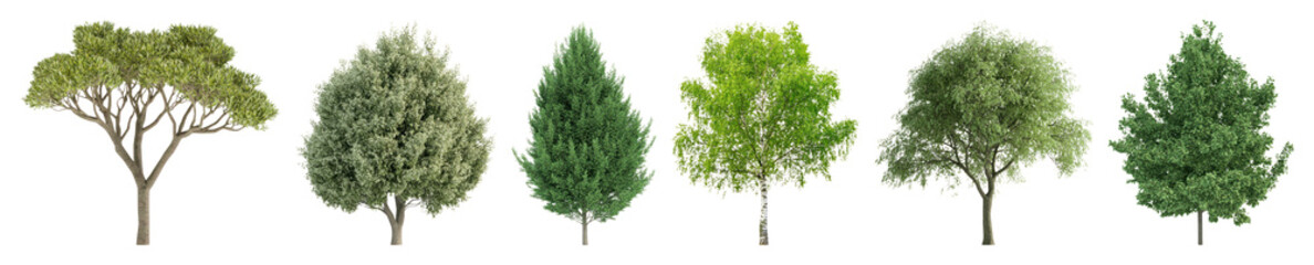 Fototapeta premium PNG Diverse realistic tree illustrations, transparent background