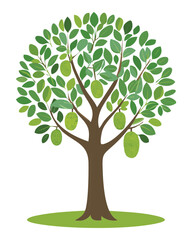 Obraz premium Jackfruit Tree Illustration