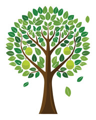 Fototapeta premium Apple tree with fresh green apples