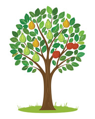 Tree with colorful red yellow fruits