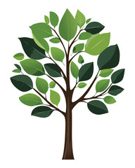 Broad leafy tree with vibrant green