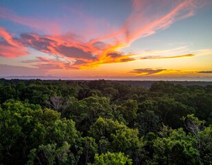 Vibrant Sunset Over Lush Green Forest Canopy in Open Landscape