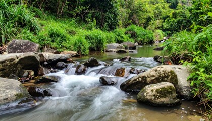 Gentle Stream Flowing Through Lush Green Landscape on a Sunny Day