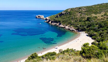 Serene Coastal View of a Hidden Beach with Clear Blue Waters