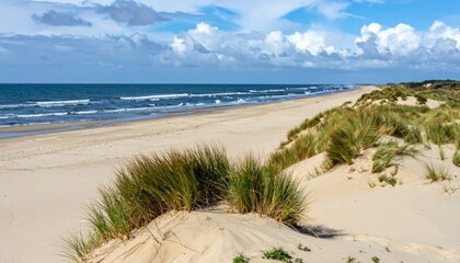 Serene Coastal Landscape with Rolling Dunes and Vibrant Sea View