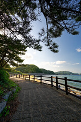 seascape path along the beach under the pine trees in Itoshima, Japan