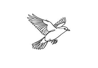 Fototapeta premium Bird in flight drawing. This black and white outline illustrates a bird in mid-flight, showcasing its dynamic wings spread wide as it soars. Vector sketch line art draw.