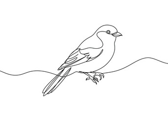 Bird one line drawing. This black and white outline features a stylized bird created with a single continuous line, highlighting minimalist and fluid design. Vector sketch line art draw.