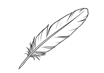 Crow feather drawing. This black and white outline depicts a single crow feather, highlighting its delicate structure and graceful form. Vector sketch line art draw.