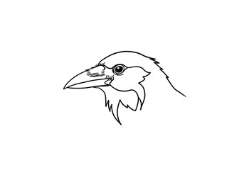 Fototapeta premium Crow head drawing. This black and white outline focuses on the detailed head of a crow or raven, highlighting its sharp beak and keen eye. Vector sketch line art draw.