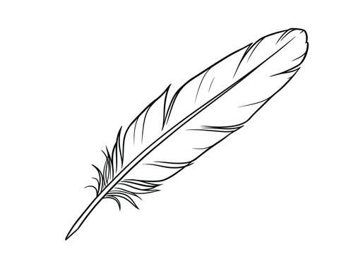 Fototapeta Crow feather drawing. This black and white outline depicts a single crow feather, highlighting its delicate structure and graceful form. Vector sketch line art draw.