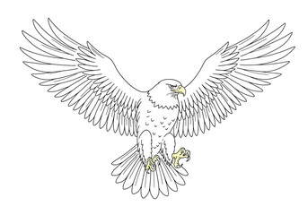 Fototapeta premium Eagle drawing. This black and white outline depicts a majestic eagle with its wings spread wide, capturing its powerful and predatory nature. Vector sketch line art draw.