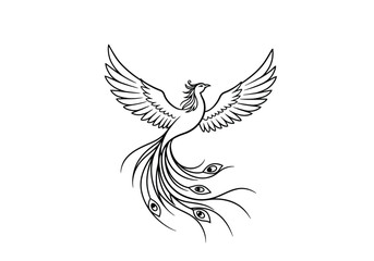 Obraz premium Phoenix bird drawing. This black and white outline depicts a phoenix, a mythical bird symbolizing rebirth and resurrection, with its wings spread and elaborate tail. Vector sketch line art draw.