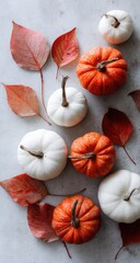 Fototapeta premium Autumn Display Of Small Pumpkins And Leaves