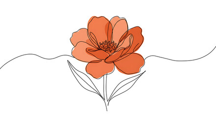 Elegant Single Line Drawing of a Coral Flower Botanical Illustration Minimalist Floral Art