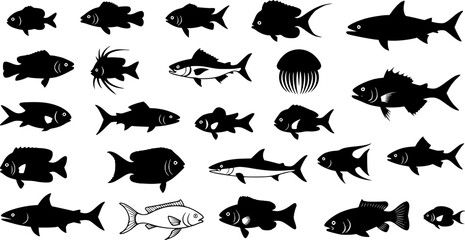 sardine fish line art, black outline, vector and illustration, coloring book page line art drawing
