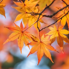 Close-up view of vibrant autumn leaves.