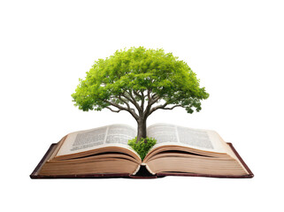 Open book with a vibrant green tree emerging from its pages.