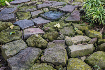old stone path with moss