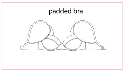 padded bra