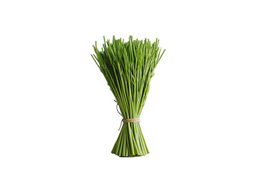 bunch of fresh lemongrass stalks are tied together