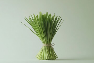 bunch of fresh lemongrass stalks are tied together