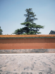 The Forbidden City in Beijing and its exhibits