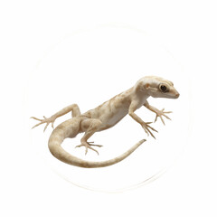 Naklejka premium Whimsical Gecko in a Circular Frame A Vibrant Stock Image