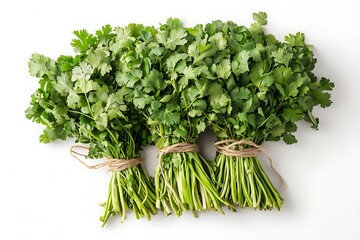 Green Cilantro Coriander Leaves Isolated on White Background