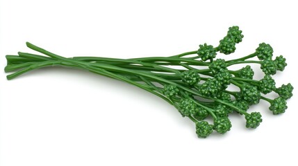 Obraz premium Green Chives Bouquet: Fresh and Vibrant Herbs