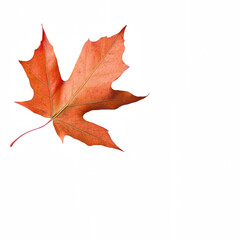 Naklejka premium A vibrant red maple leaf showcasing the beautiful colors of autumn.