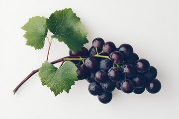 red grapes with green leaves, isolated on a clean white background