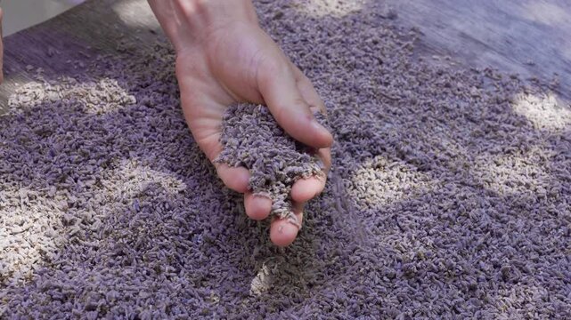 Lavender is used as herbal filler inside sachets, potpourris, wedding confetti, in scented waters, soaps, and sachets