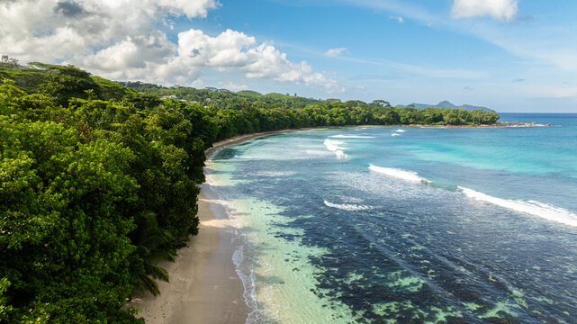 White sandy beach bordered by lush green trees. Seychelles. Baie Ternay Beach.