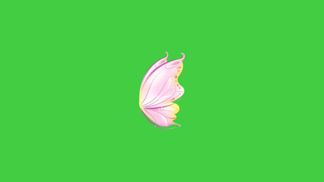 greenscreen butterfly wings flying pink color